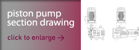 Piston Pump typical section drawing